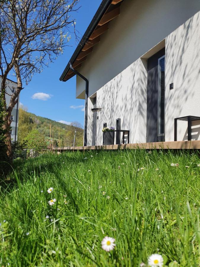 Apartament Ogrodowa 4 Ustrzyki Dolne Zewnętrze zdjęcie